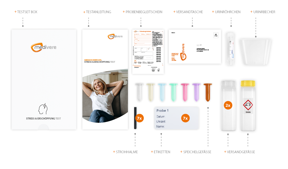 Stress & Erschöpfung Test Inhalt