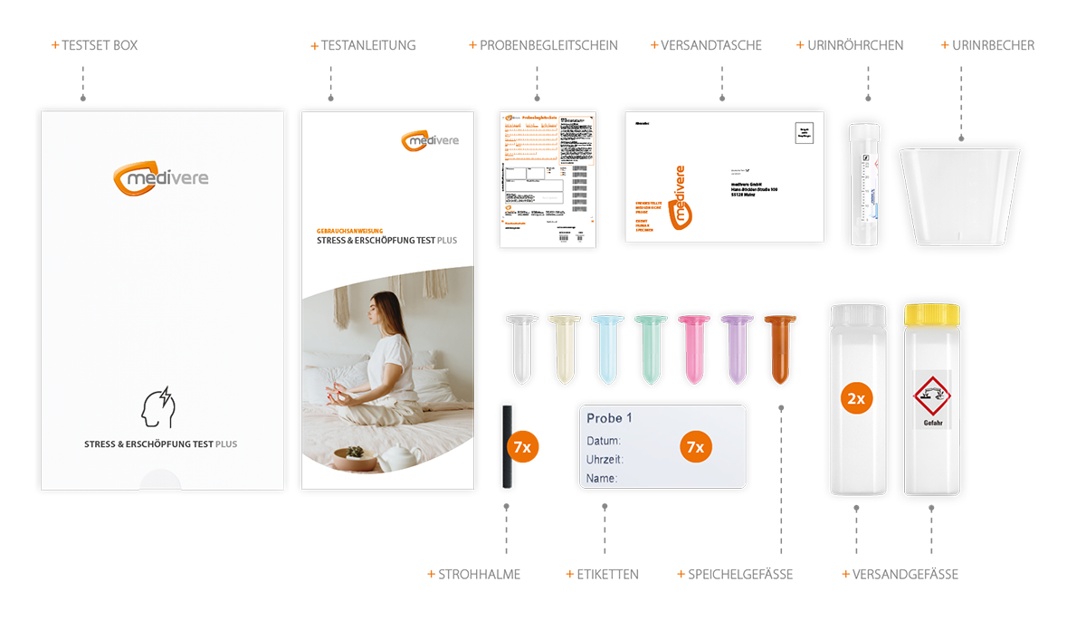 Stress & Erschöpfung Test Plus
