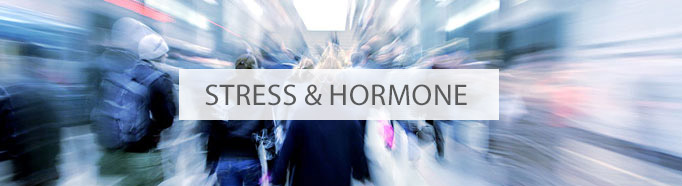 Stress und Hormone