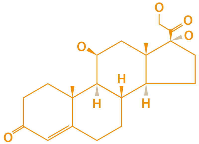 Stresshormon Cortisol chemische Formel