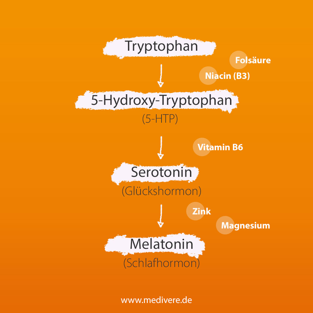 Tryptophan, Serotonin und Melatonin