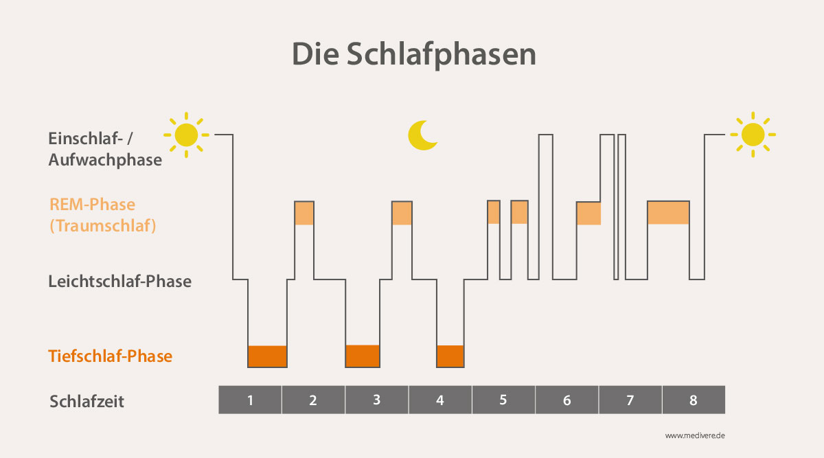 Schlafphasen 