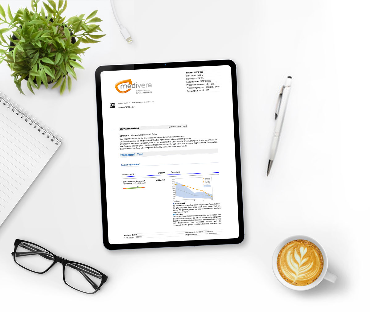 Musterbefund Stressprofil Test