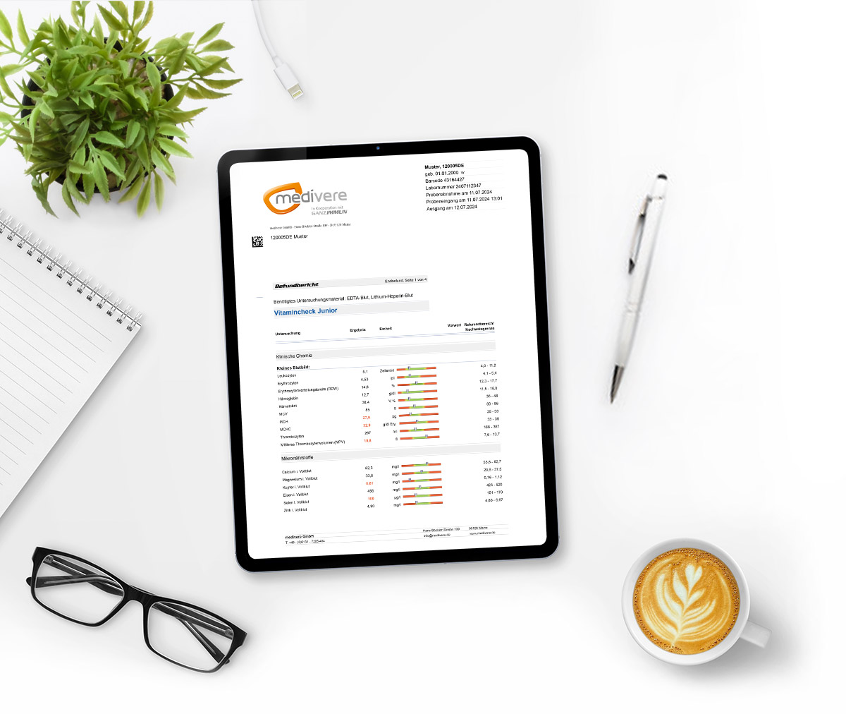 Vitamincheck Junior Musterbefund