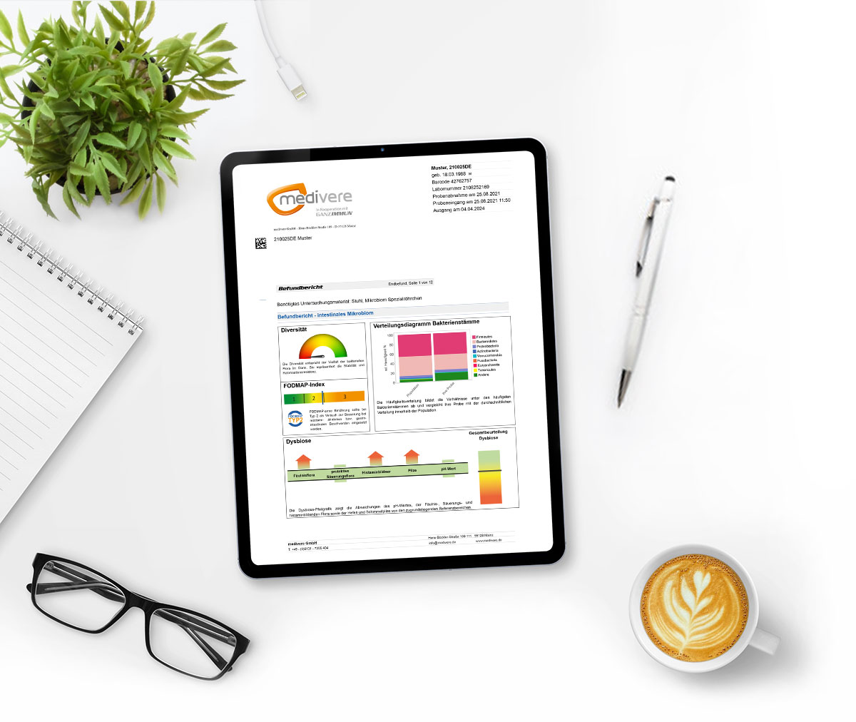 Musterbefund Darm-Mikrobiom Test Basis