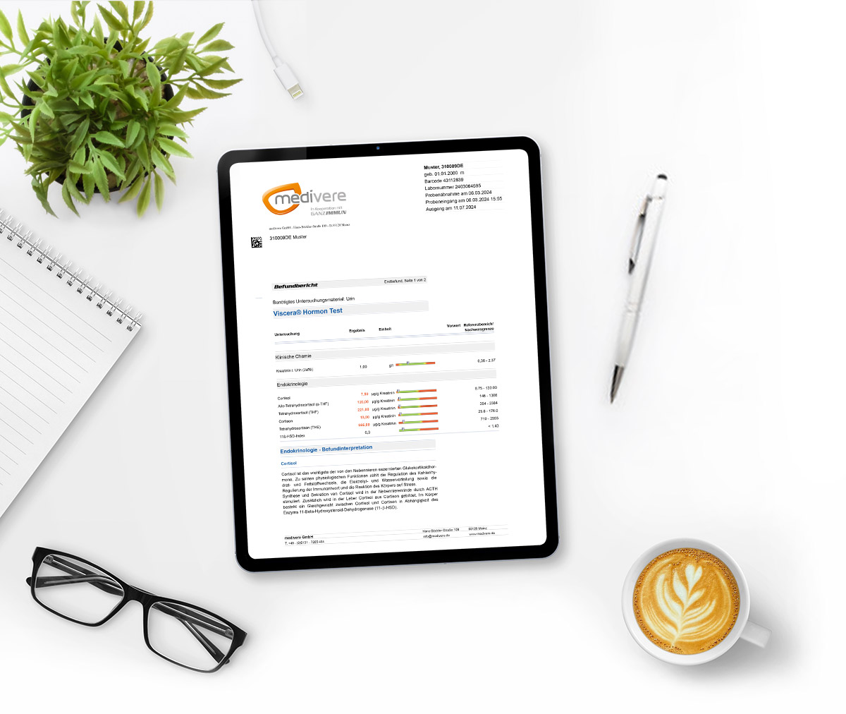 Viscera Hormon Test Musterbefund