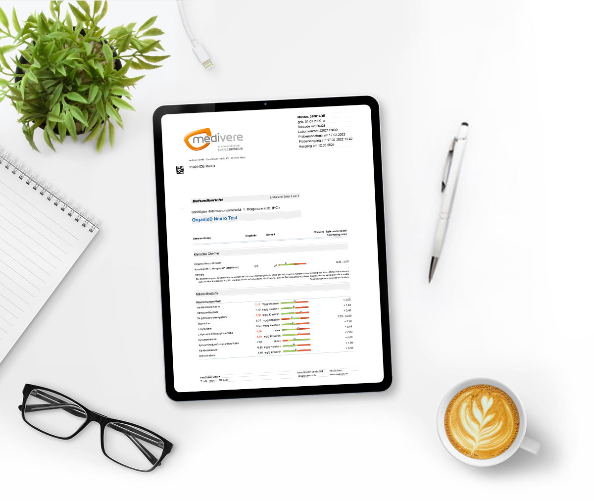 Musterbefund Organix Neuro Test