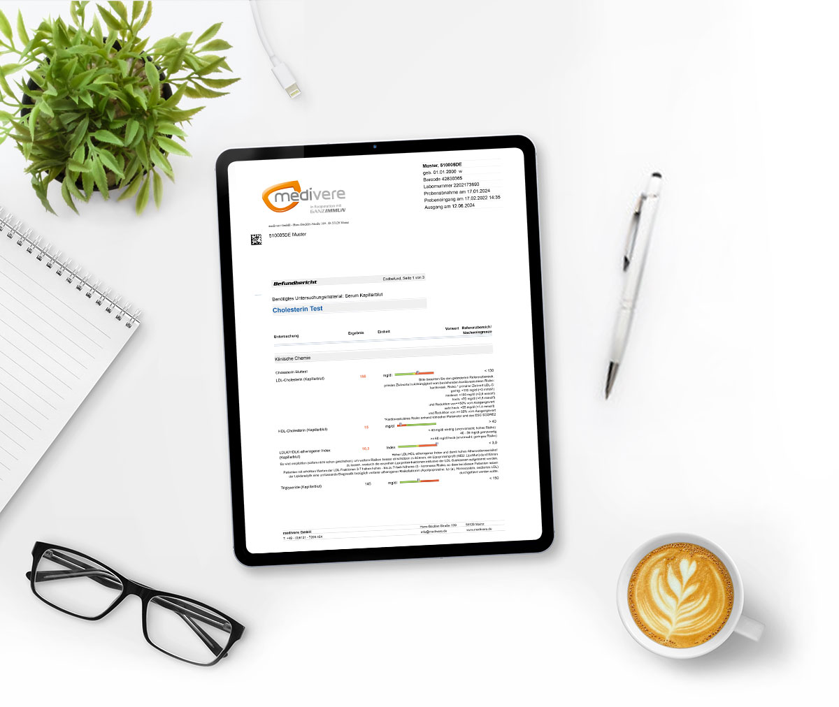 Musterbefund Cholesterin Test