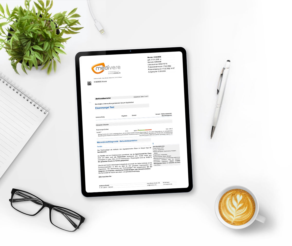 Musterbefund Eisenmangel Test