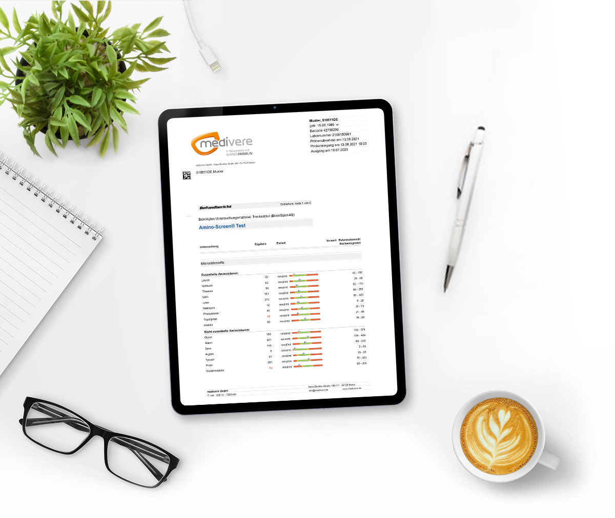 Musterbefund Amino-Screen Test