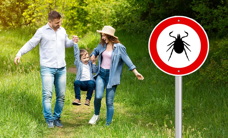 Krank durch Zecken? Borreliose und FSME Symptome erkennen