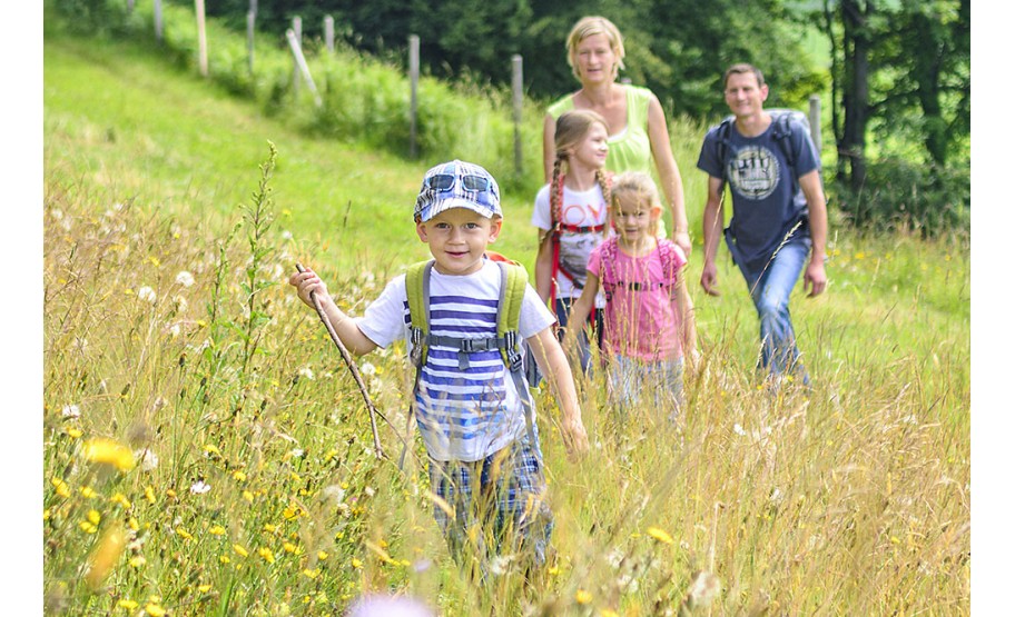 Krank durch Zecken? Borreliose und FSME Symptome erkennen